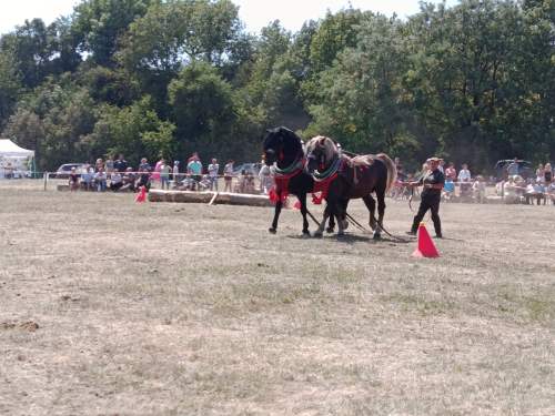 IMG_20260808_135642